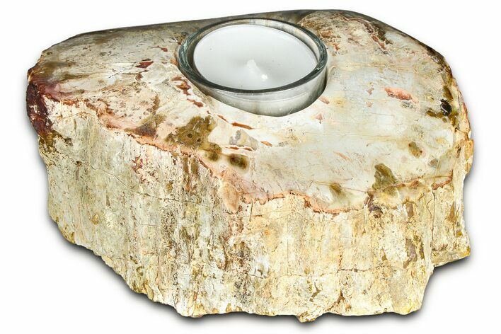 Polished Petrified Wood Candle Holder - Madagascar #378672
